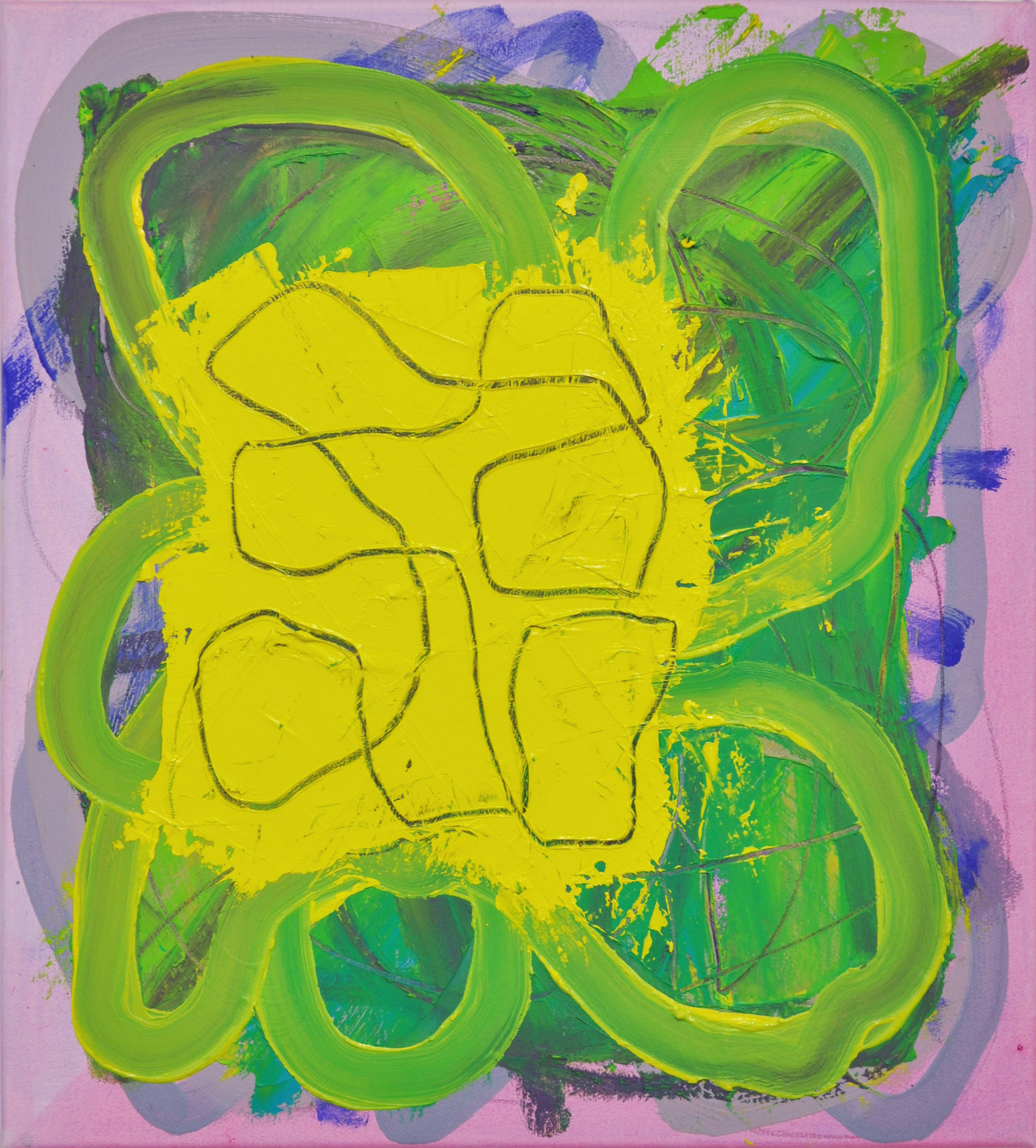 Spanish Castle Magic, 2016, oil and graphite on linen, 19 × 32 inches