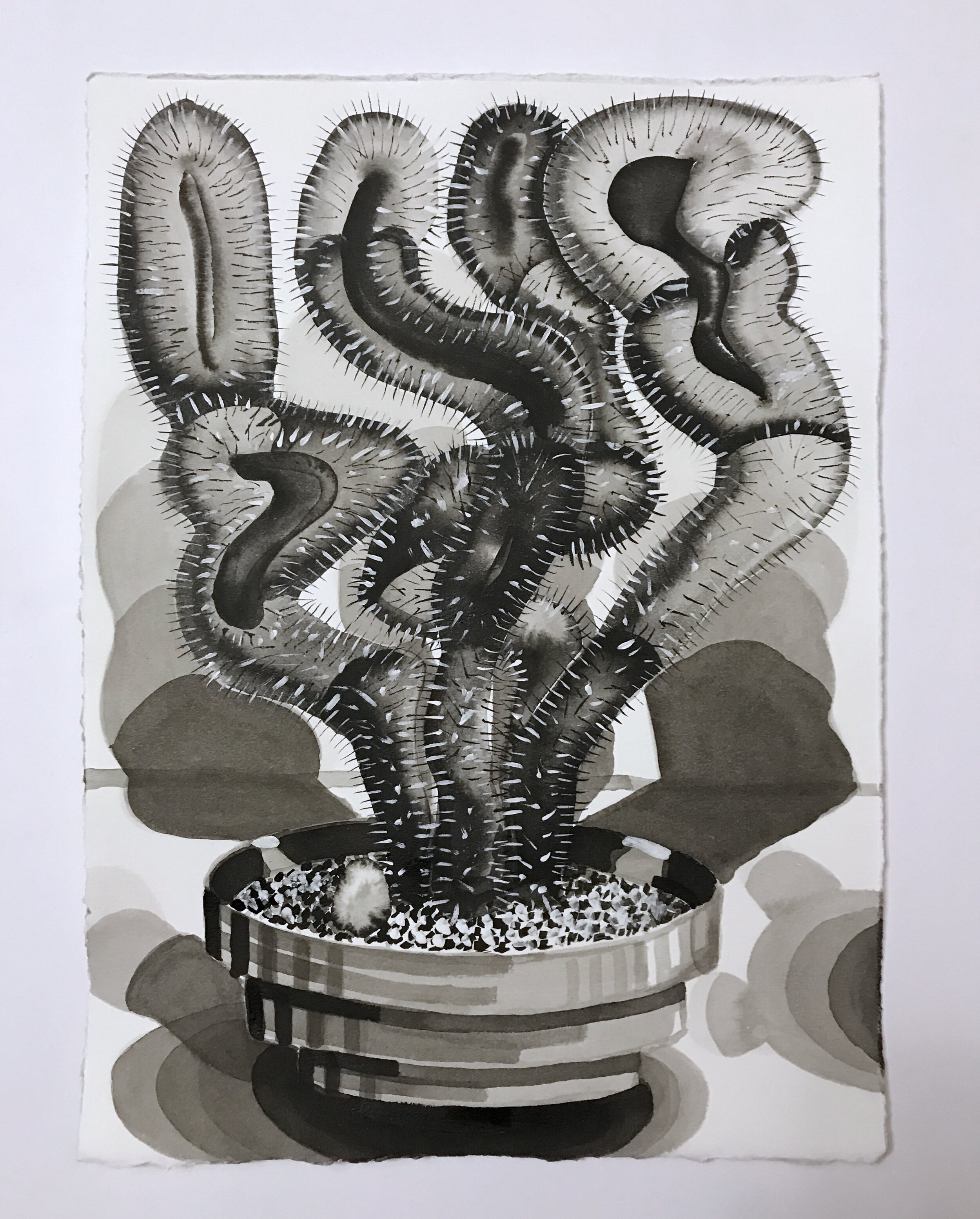 Untitled, d1914, black walnut ink and watercolor on paper, 22 × 17 inches