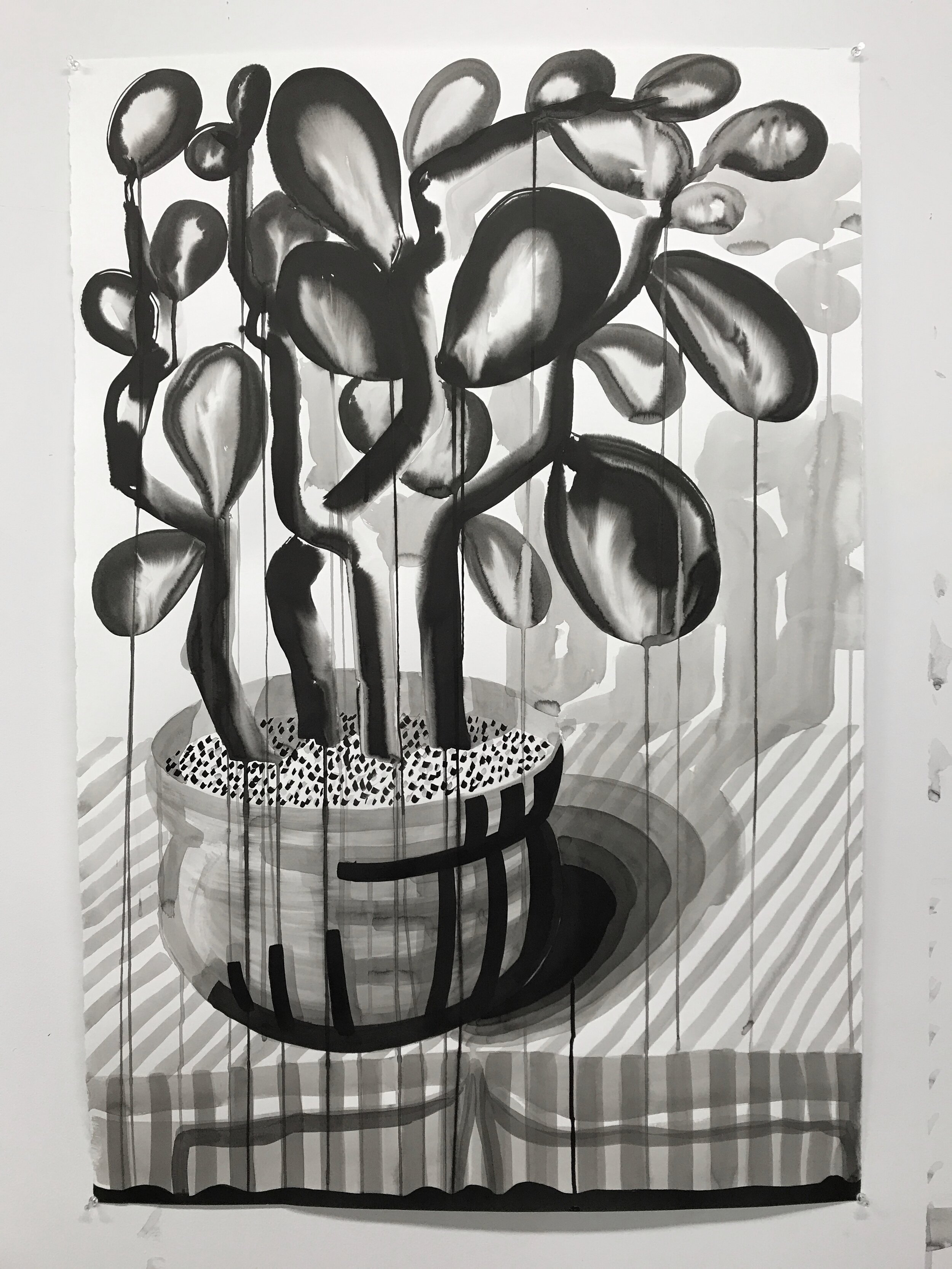 Untitled (succulent memories), 2018, ink on paper, 55.5 × 51.5 inches