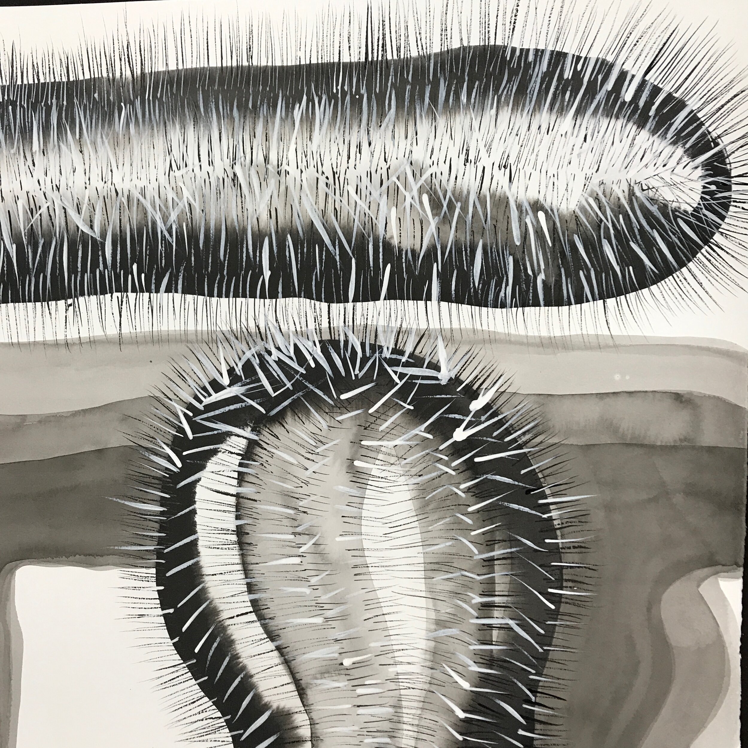 Untitled (memory of a cactus), 2018, ink and gesso on paper, 15 × 11 inches