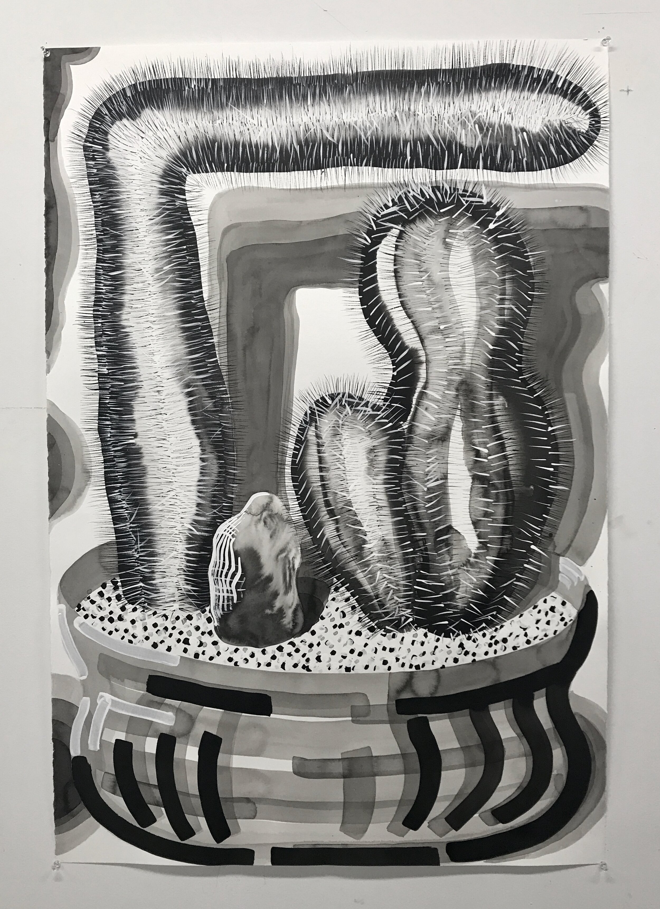 Untitled (memories of a cactus, a pot, and a rock from Machu Picchu), 2018, ink and gesso on paper, 15 × 11 inches