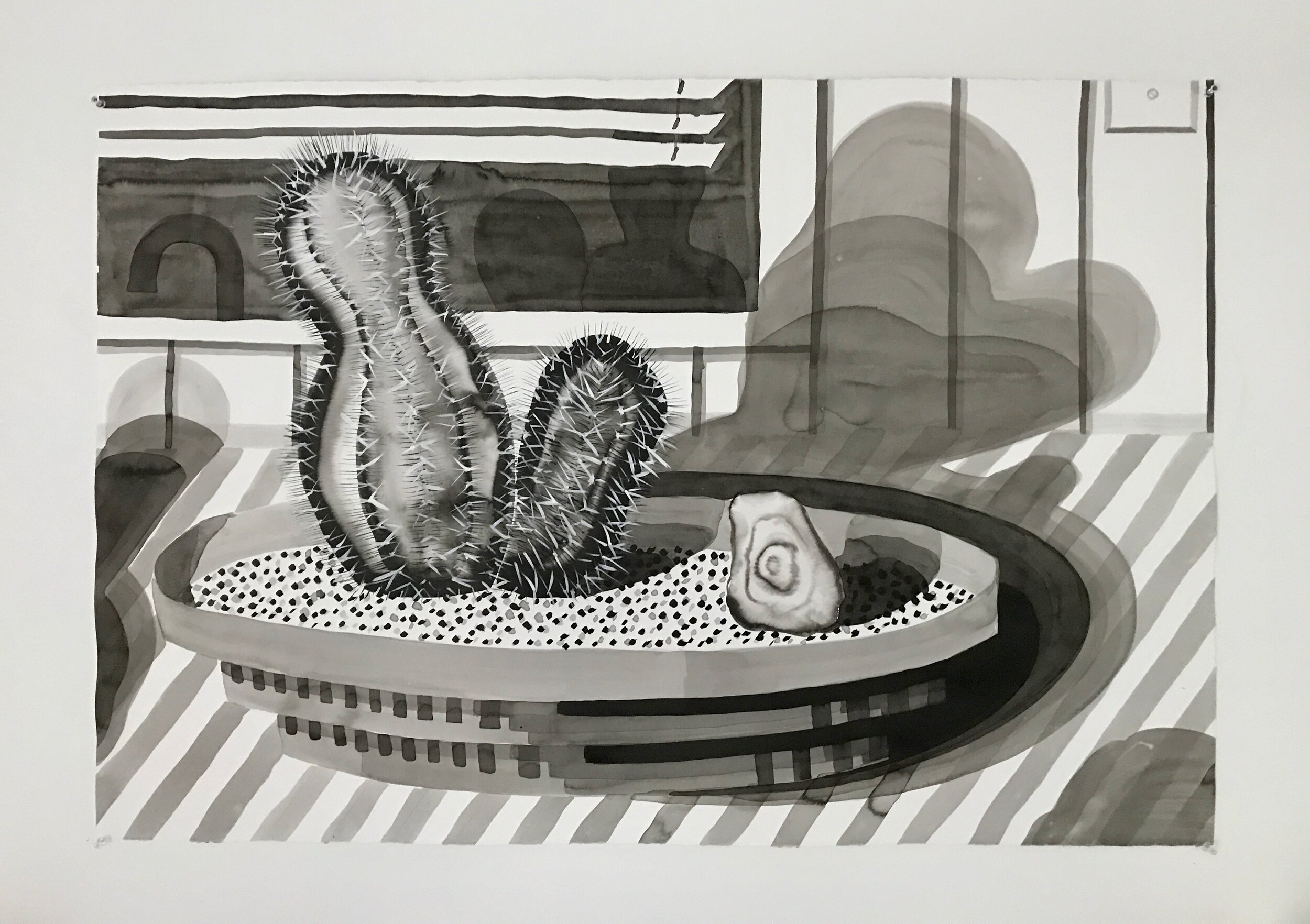 Untitled (memory of a jade plant I killed), ink on paper, 44 × 30 inches